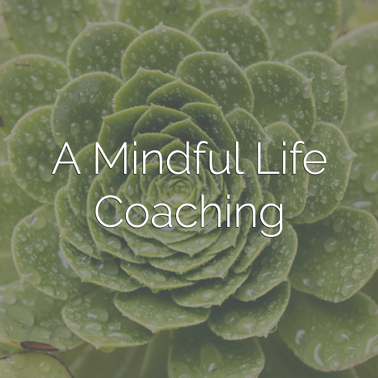 A Mindful Life | Coaching