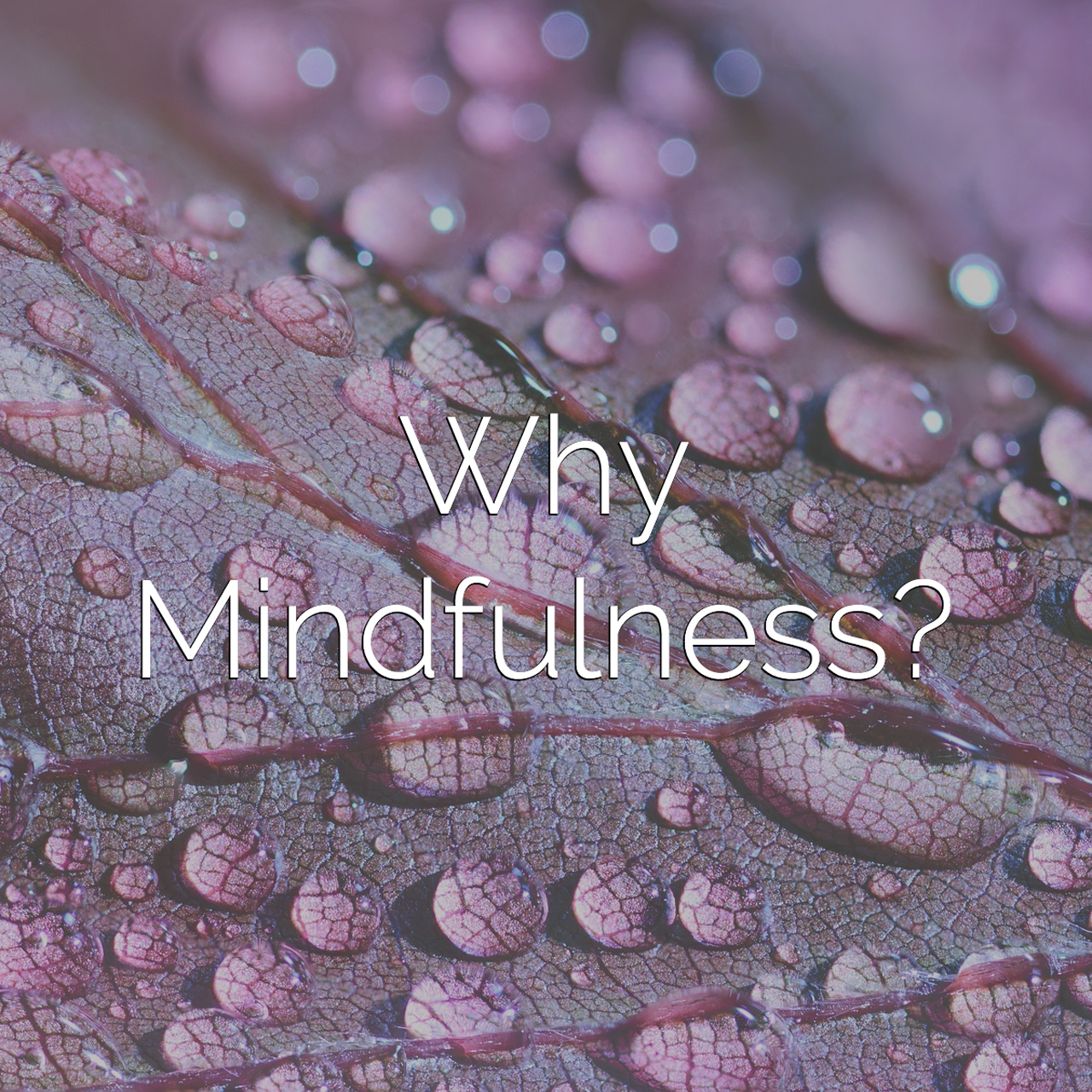 Why Mindfulness?